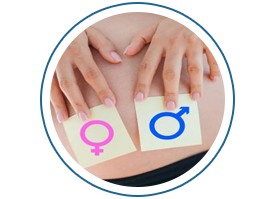  تعیین جنسیت